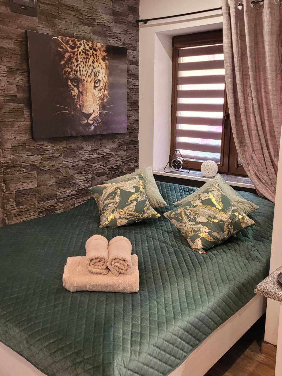 Spadzista 4 Apartment Klodzko